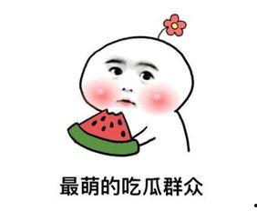 娱乐圈吃瓜大集合824pdf,揭秘幕后真相与明星众生相